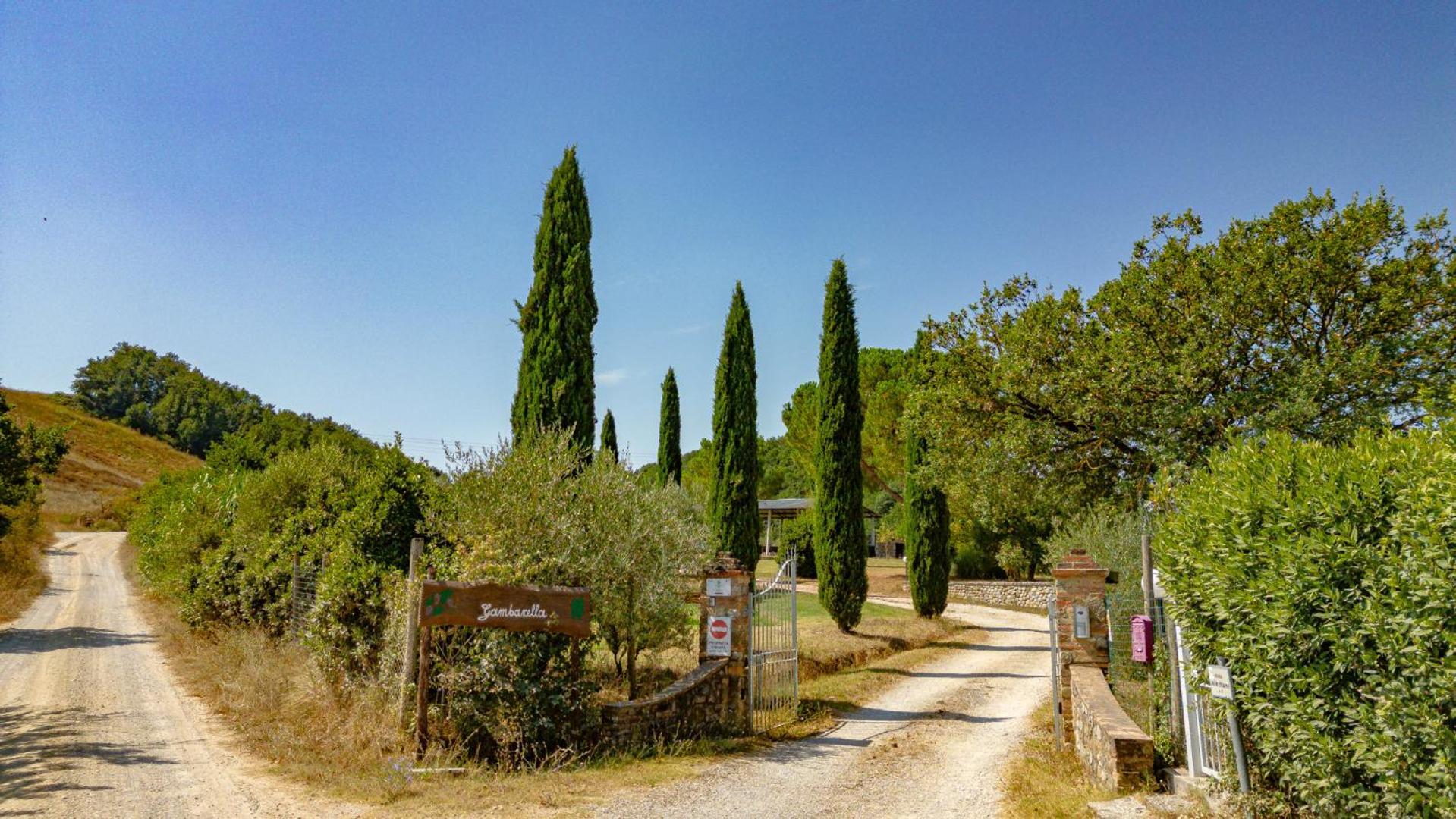 Ulivo-Chianti Charming Flat With Private Parking! Apartment Asciano Exterior foto
